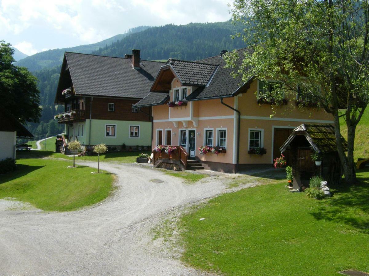 Villa Hintereggerhof à Pruggern Extérieur photo